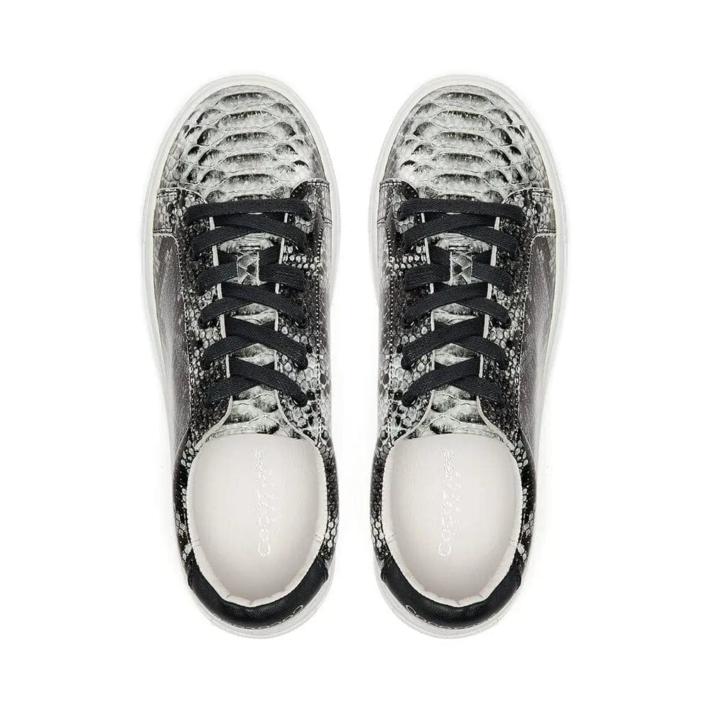 Hoxton - Grey Snakeprint Leather Trainers Cocorose London