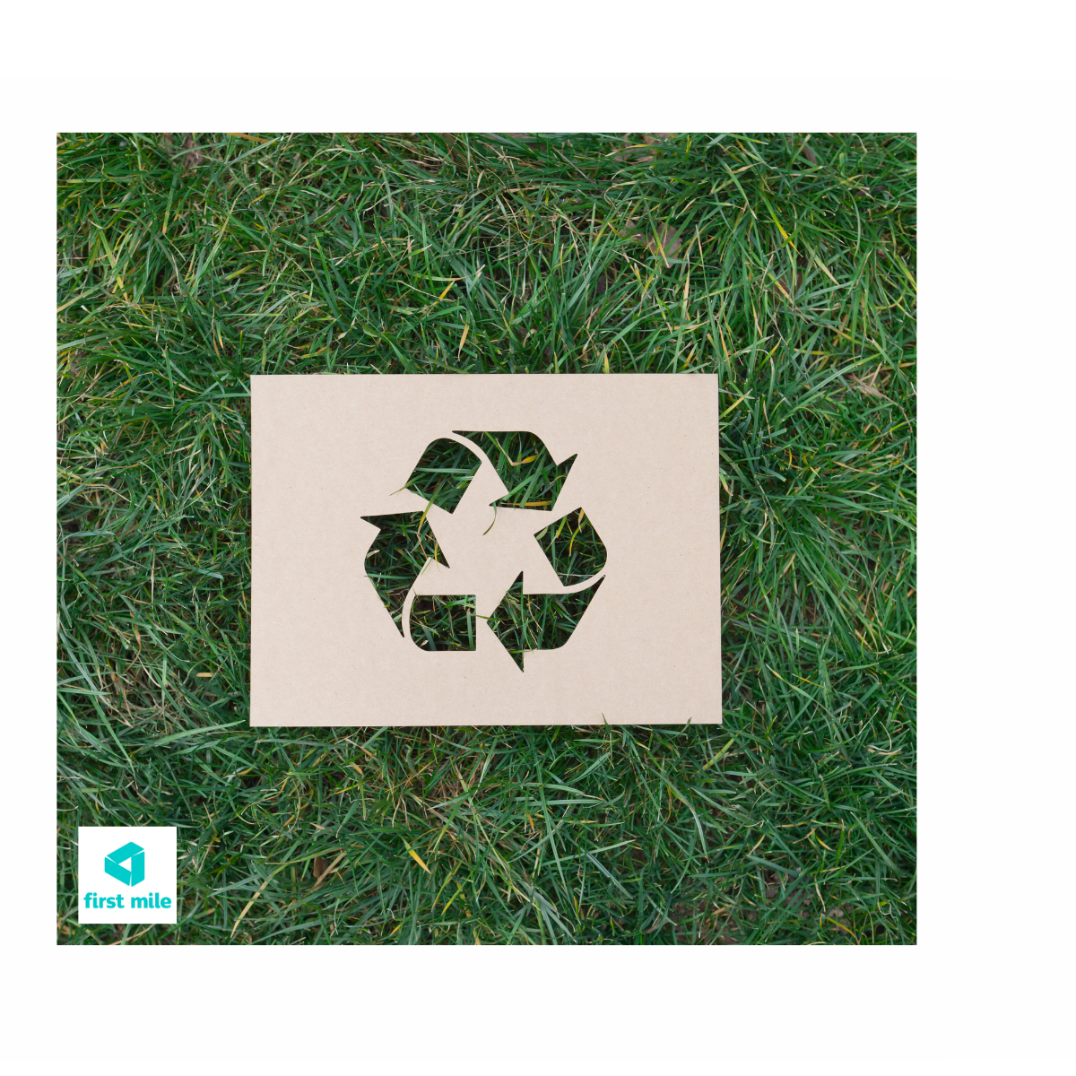 Reuse & Recycle Scheme by Cocorose